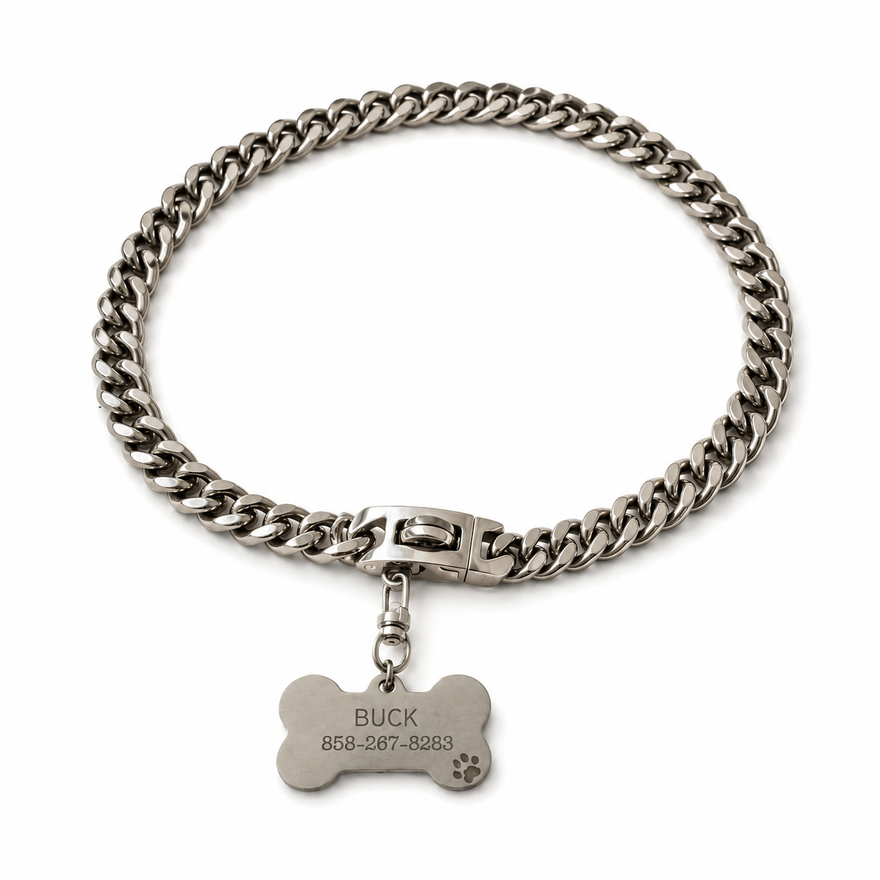 Stainless Steel Dog ID Chain with Custom Tag