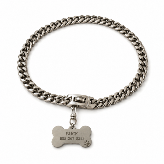 Stainless Steel Dog ID Chain with Custom Tag