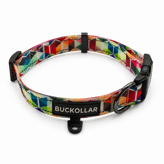 Everyday Pattern Dog Collar
