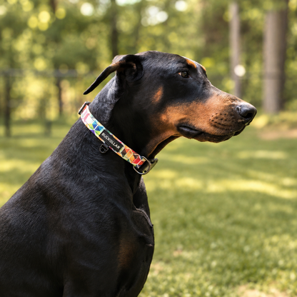 Everyday Pattern Dog Collar