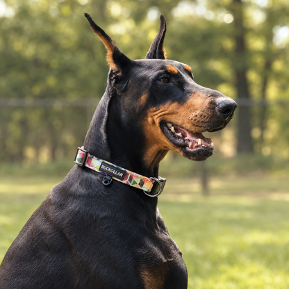 Everyday Pattern Dog Collar