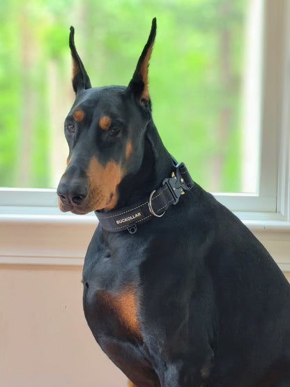 Tactical Collar