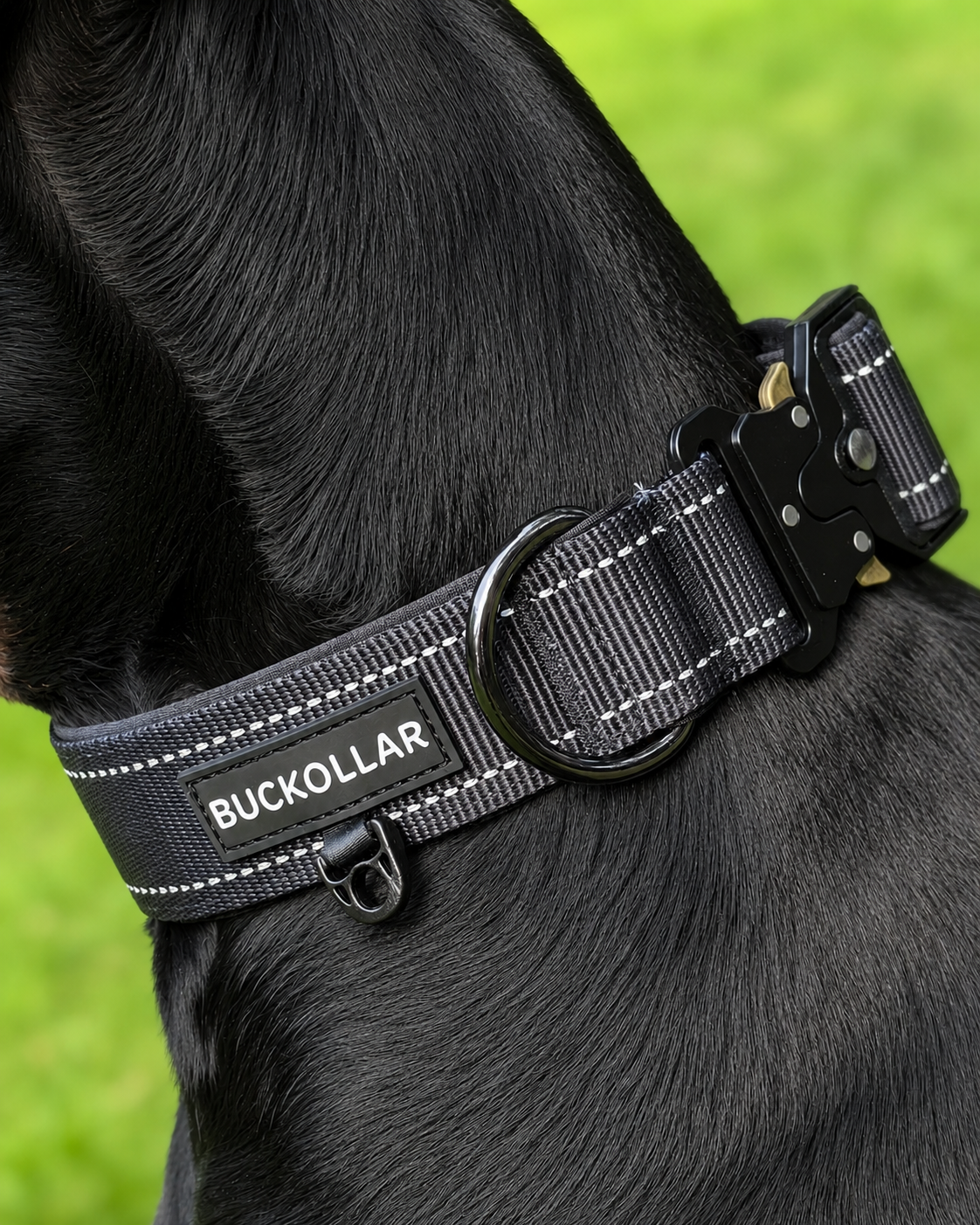 Tactical Collar