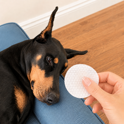 Eye Care Pads
